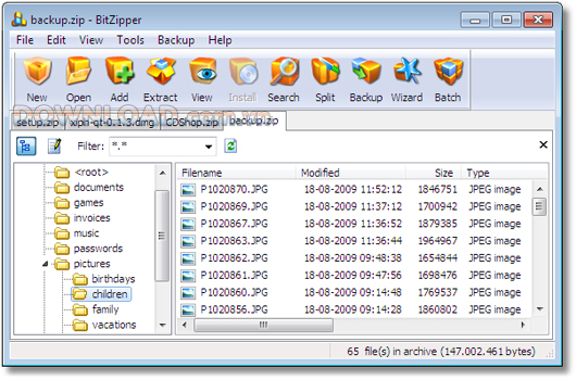 BitZipper 2010