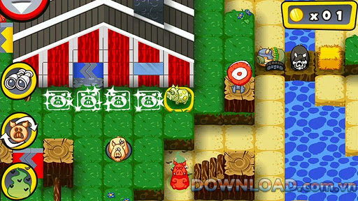 Giải cứu những chú heo