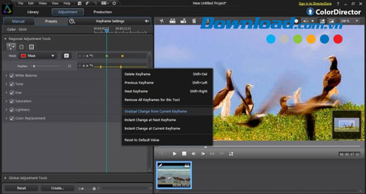 ColorDirector