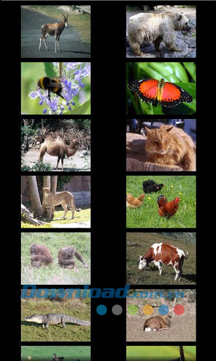 Bé học các con vật for Android