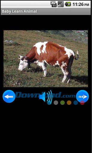 Bé học các con vật for Android