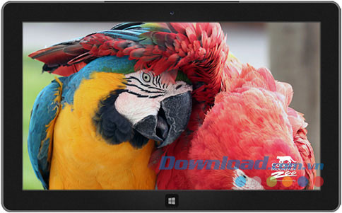 Cougar Mountain Zoo theme