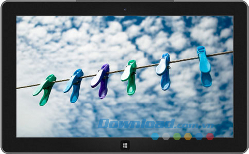 Art of the Everyday Dynamic theme