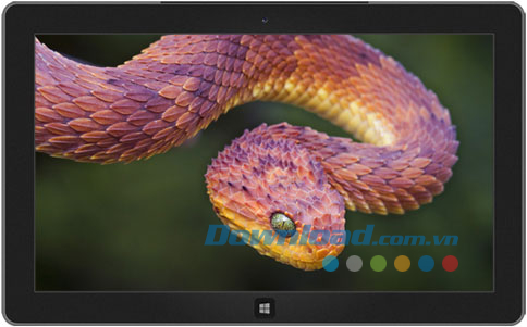 Snakes theme