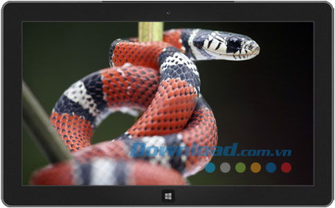 Snakes theme