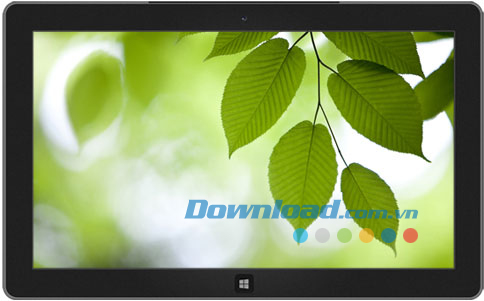 Forests theme