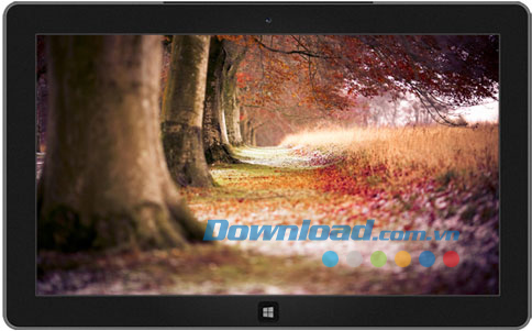 Forests theme