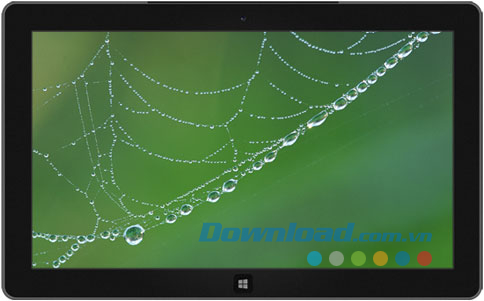 Webs & Waterdrops theme
