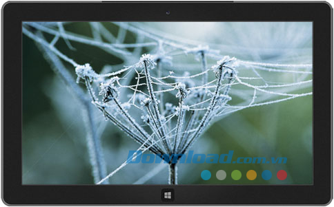 Wintry Webs theme
