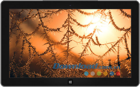 Wintry Webs theme