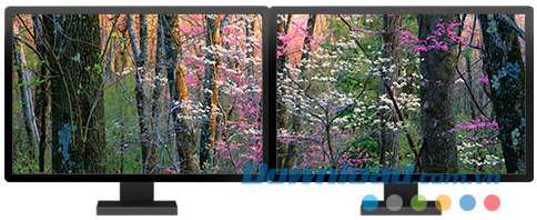 Forests panoramic theme