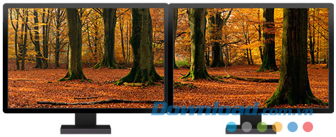 Forests panoramic theme