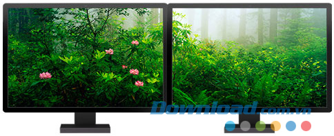 Forests panoramic theme