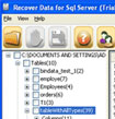 Recover Data for SQL Server