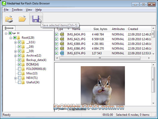MediaHeal for Flash