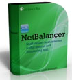 NetBalancer Pro