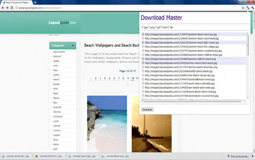 Download Master