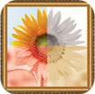 Pic-Frames Lite for iOS