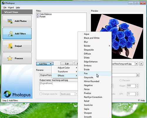 Photopus