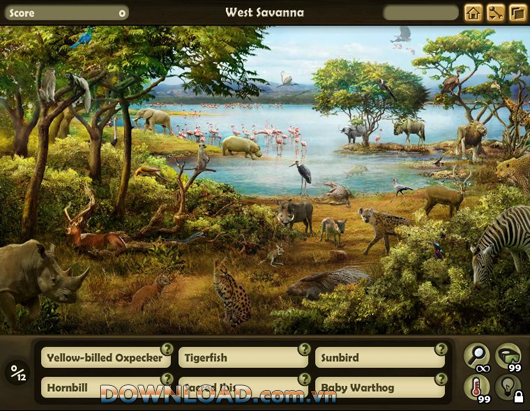 Disney Animal Kingdom