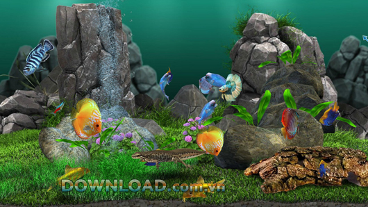 AquaLife 3D
