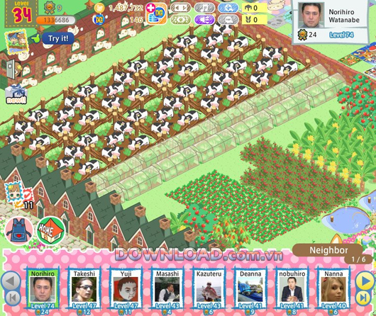 Diner Garden