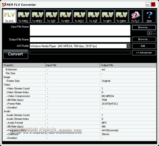RER FLV Converter