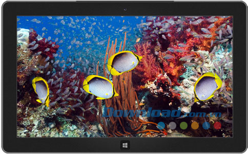 Tropical Fish theme