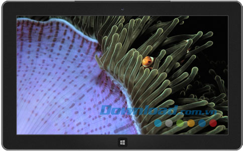 Tropical Fish theme