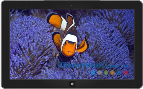 Tropical Fish theme