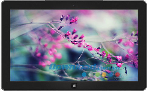 Dreamgarden theme