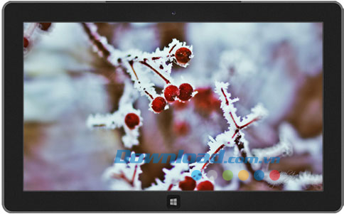 Dreamgarden theme