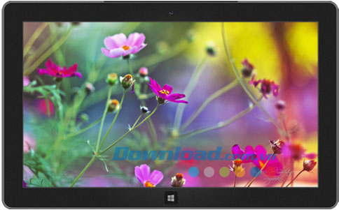 Dreamgarden theme