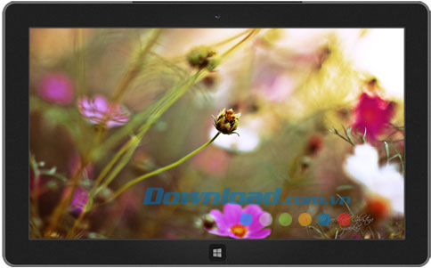 Dreamgarden theme