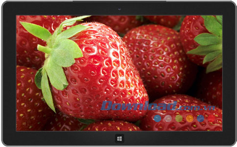 Fresh Fruit theme