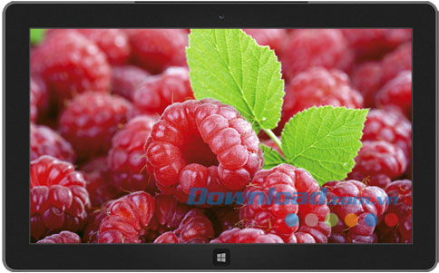 Fresh Fruit theme
