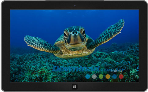 Best of Bing theme