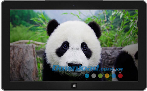 Best of Bing theme