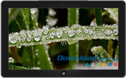 Frost Macros theme