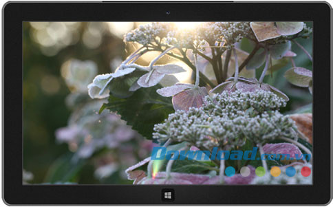Frost Macros theme