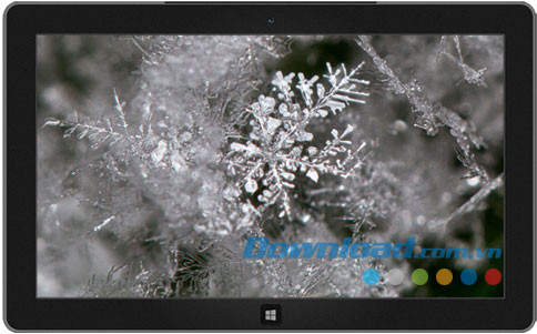 Frost Macros theme