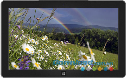 Rainbows theme