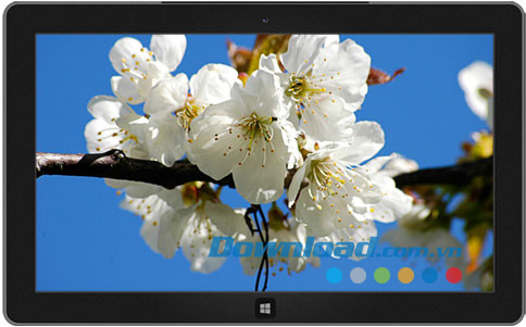 Czech Spring theme