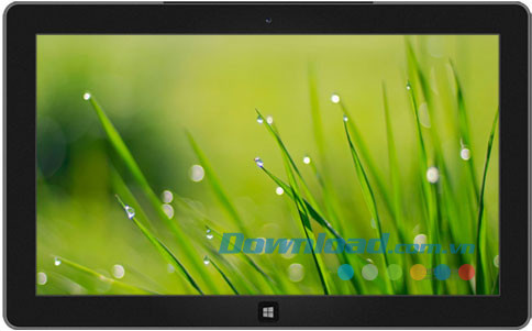 Green World theme