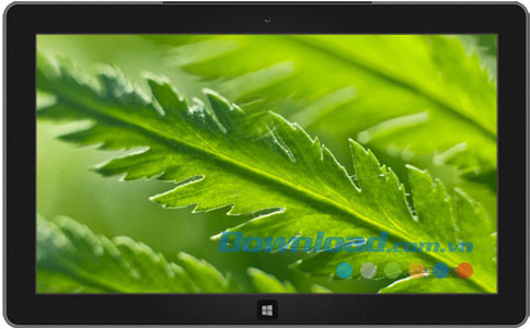 Green World theme