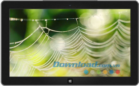 Green World theme
