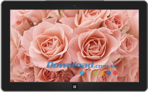 Roses theme