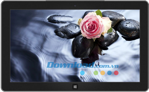 Roses theme
