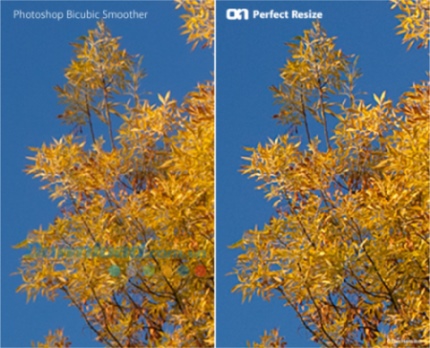 Perfect Resize