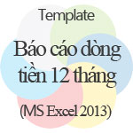 Báo cáo dòng tiền 12 tháng